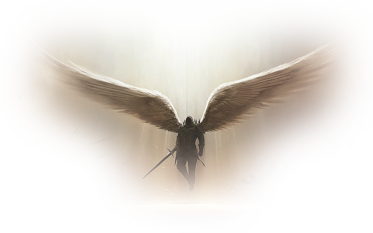 Warrior Angel Warrior Angel